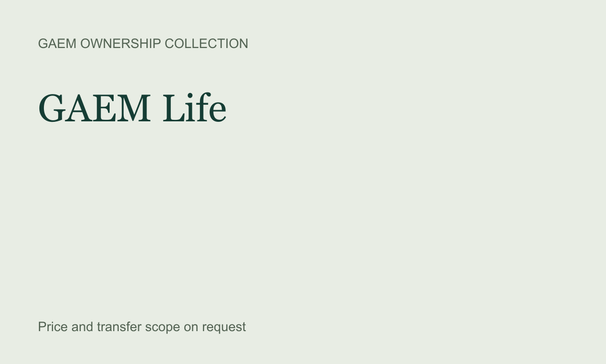 GAEM Life — product artwork